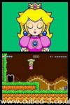 Screenshot for Super Princess Peach - click to enlarge