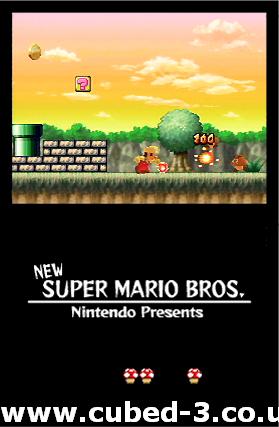 Screenshot for Super Mario Bros DS on Nintendo DS