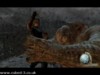 Screenshot for Resident Evil 4 (2005) - click to enlarge