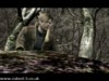 Screenshot for Resident Evil 4 (2005) - click to enlarge